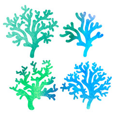 hand drawn decorative watercolor coral © ty4ina