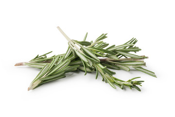 Fototapeta premium Fresh rosemary herbs isolated on white background