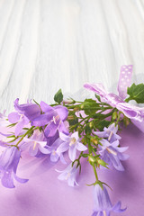 Obraz na płótnie Canvas bounch of spring violets flowers