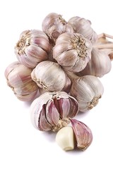 Garlic (Allium)