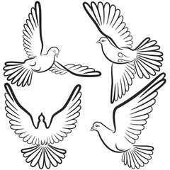 Black and white contours of four pigeons that fly