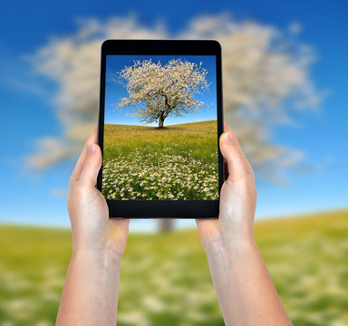 Taking photos of a spring landscape with a tablet