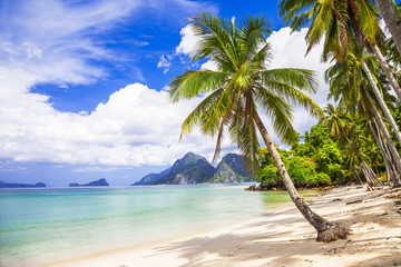 tropical beach scenery