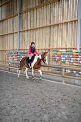 équitation