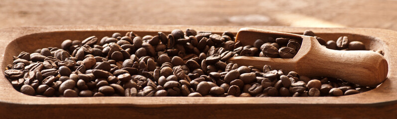 coffee beans closeup