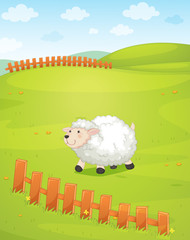 Obraz na płótnie Canvas A sheep at the field