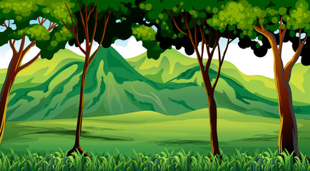 Fototapeta premium Trees and mountains