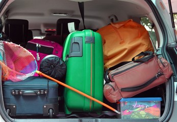 bag and trolley with a fishing net in the trunk of the car