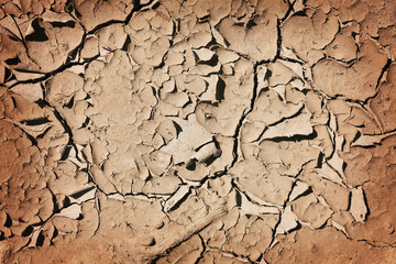 cracked earth texture