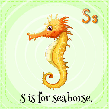 Letter S