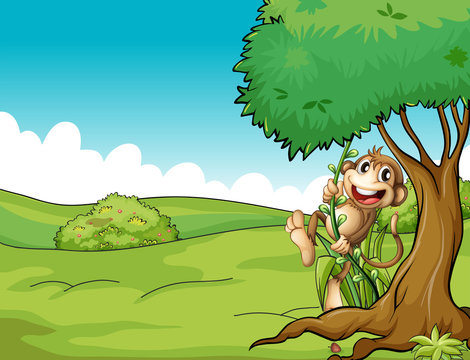Monkey and tree