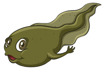 Obraz premium A tadpole