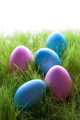 Fototapeta na wymiar Many Pink And Blue Easter Eggs On Green Grass