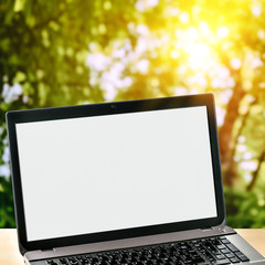 Laptop on green nature background