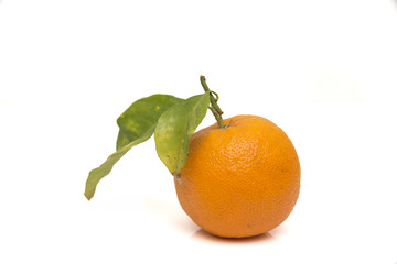 ripe orange