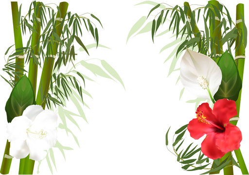 white and red flowers on green bamboo branches