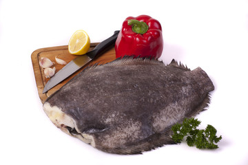 Frozen halibut © blistwan