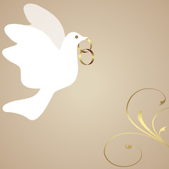 ehering,hochzeitsring,ring,heiratsring,taube,floral,trauung,weiß