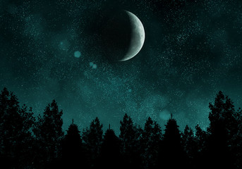 Obrazy na Szkle  Gwiaździsta noc z lasem i księżycem