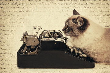 chat écrivant