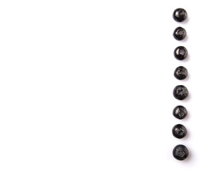 Blaeberry also known as bilberry over white background