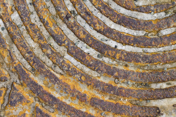 manhole on the white background