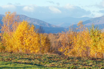 Fototapeta premium Jesienny krajobraz górski Karpat rano.