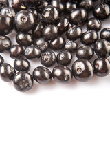 Blaeberry also known as bilberry over white background