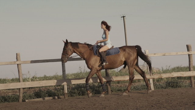 Young woman riding a horse on a lunging rein