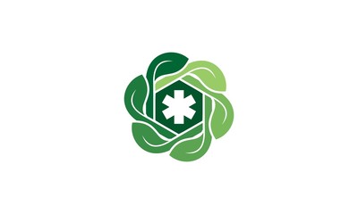 Healthy Leaves Logo