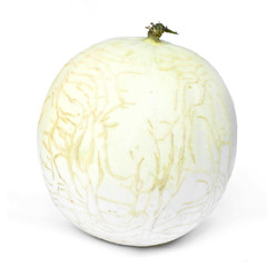 Cantaloupe melon fruit on white background