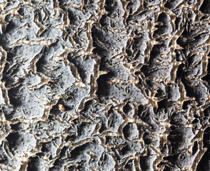 abstract background of old wall