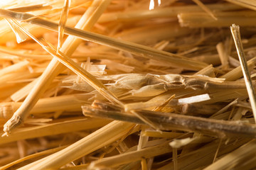 background of dry hay