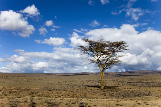 Parco Masai Mara