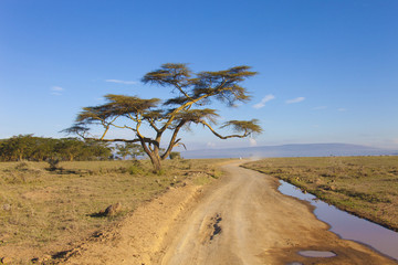 Parco Masai Mara