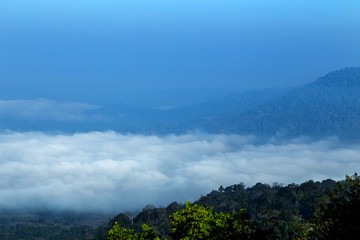 Mountain with mist landscape