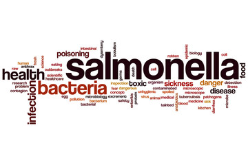 Salmonella word cloud