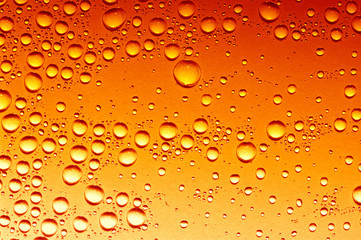 beer background