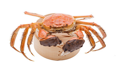 Hairy crabs on the Bamboo steamer Isolated in white background.