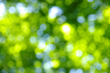 abstract light background