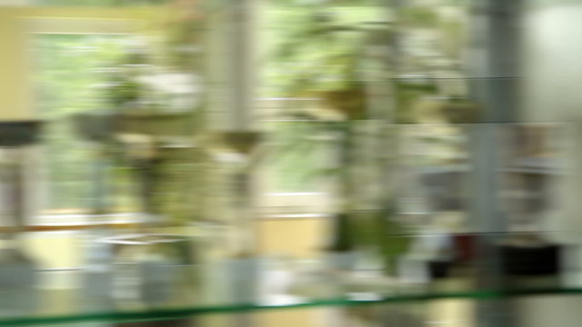 Dolly shot of crowd walking. Shot is taken through the window with spor cups,