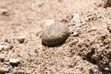 background of gravel and sand