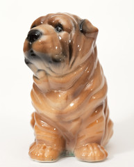 Shar pei puppy