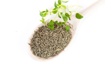 fresh and dried thyme