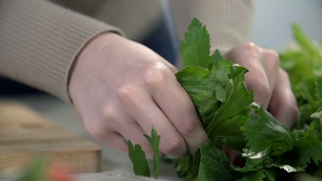 Mint leaves for smoothie glasses