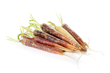 Rainbow carrots on white background