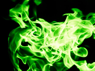 The green light on a black background