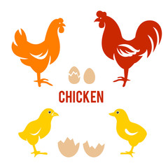 Chicken and egg set in vector
