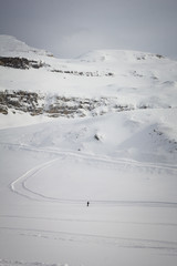 Obraz premium Cross-country skier in the austrian Alps 