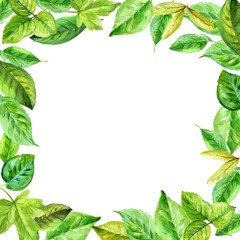 Naklejka premium square frame. leaves in watercolor. Hand-painted elements.